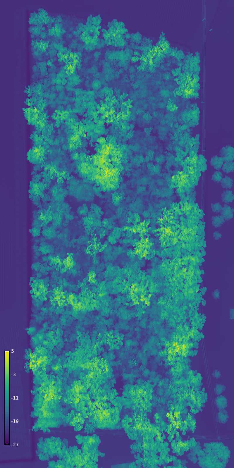 Le Petit Versailles Surface